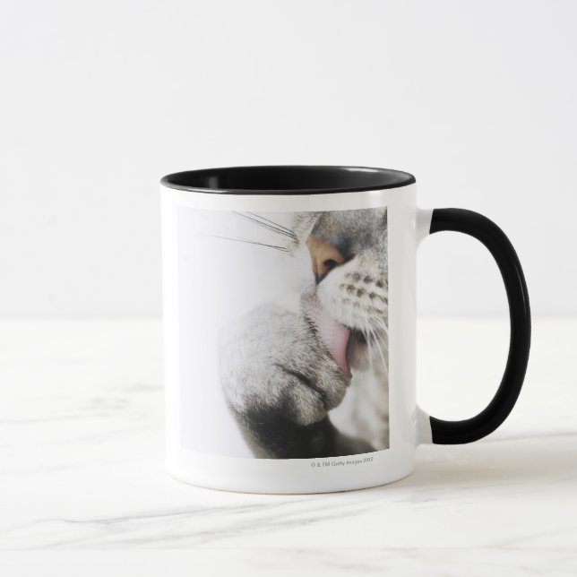 Kattlokalvårdtass Mugg (Höger)