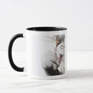 Kattlokalvårdtass Mugg
