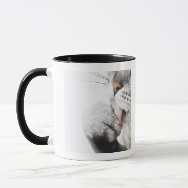 Kattlokalvårdtass, närbild mugg (Vänster)