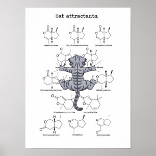 Kattluktämne Poster
