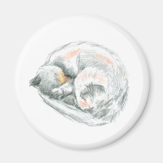 Kattlur Magnet (Framsidan)