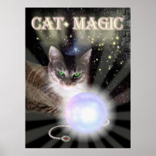 Kattmagi Poster