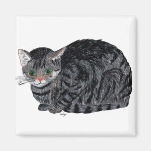 Kattmagnet Magnet
