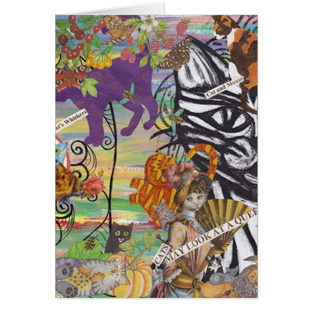 KattmajLook på ett drottningkort Hälsningskort (Framsidan)