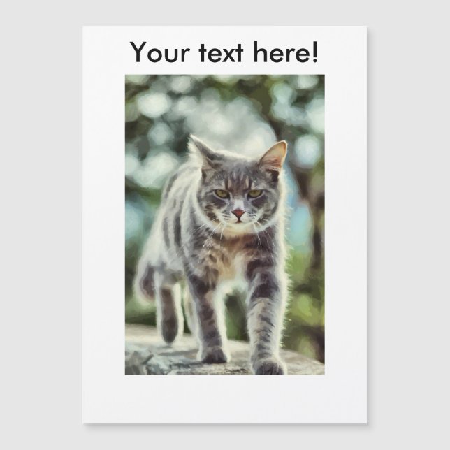 Kattmålning (Framsida)