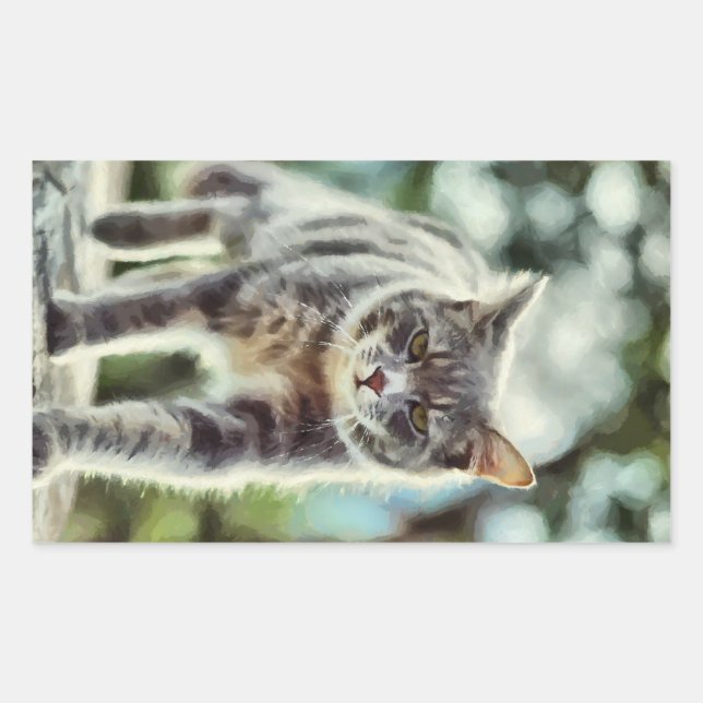 Kattmålning Rektangulärt Klistermärke (Framsida)