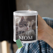 Kattmamma 5 Fotosammanställning