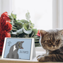 Kattmamma-adoption