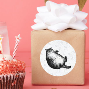 Kattmamma är jag men bara skinn och ben för kattäl runt klistermärke