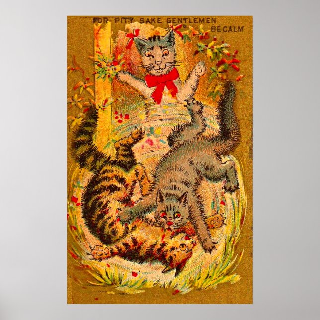 kattmatch poster (Framsidan)
