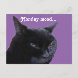 Kattmatstämning Vykort