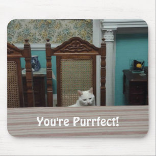 Kattmeddelande: "Du är perfekt!" Musmatta