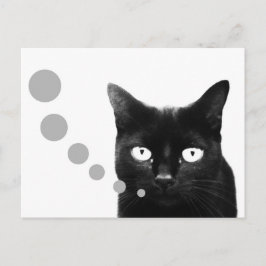 Kattmeddelande Vykort