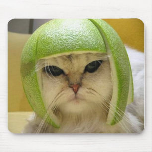 Kattmelon Musmatta