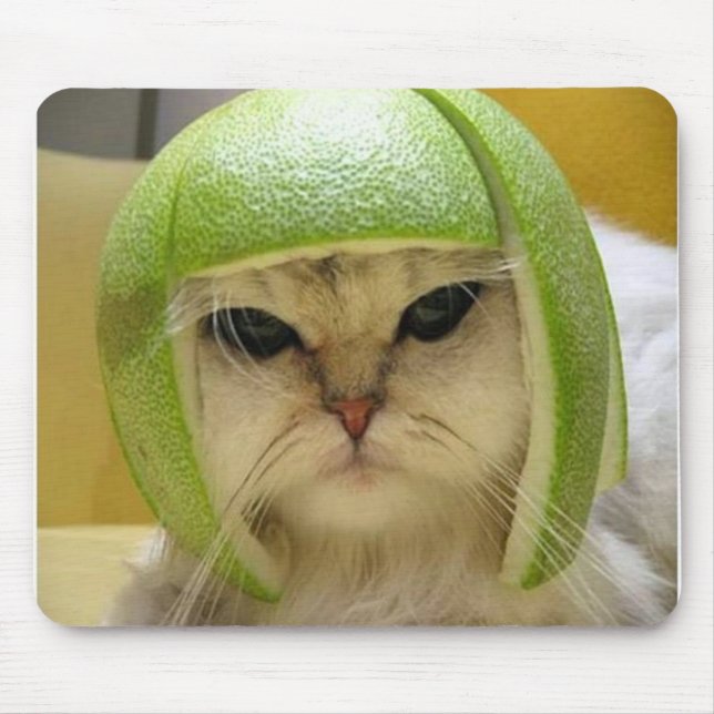 Kattmelon Musmatta (Framsidan)