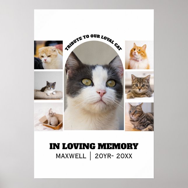 Kattminne 7 Foto Collage Husdjur Hyllning Mall Poster (Framsidan)