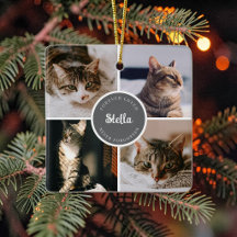 Kattminnesförlust 4 Foto Collage Citat Minnessaker