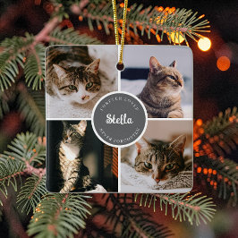 Kattminnesförlust 4 Foto Collage Citat Minnessaker Julgransprydnad Keramik