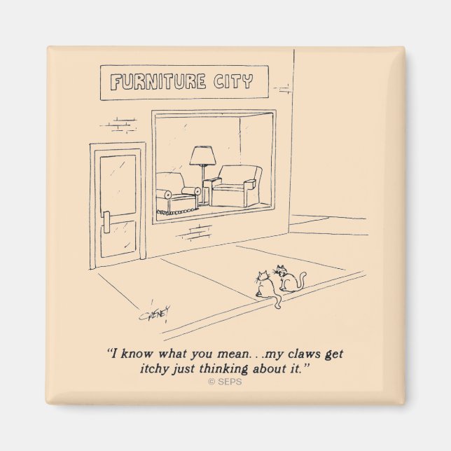 Kattmöbler Magnet (Framsidan)