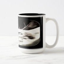 Kattmodeller: Luna 01-01