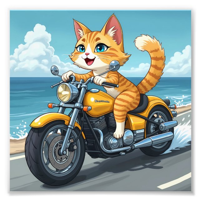 Kattmoma Fototryck (Framsidan)