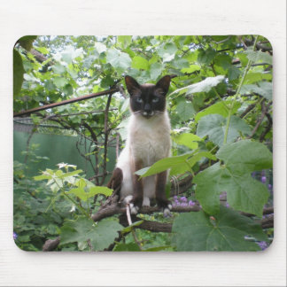 Kattmousepad Musmatta