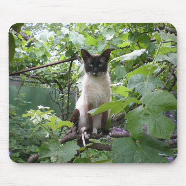 Kattmousepad Musmatta (Framsidan)