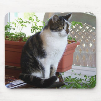 kattmousepad musmatta