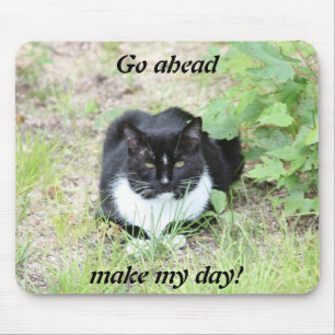 Kattmousepad Musmatta