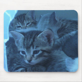 Kattmousepad Musmatta