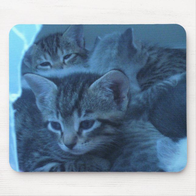 Kattmousepad Musmatta (Framsidan)