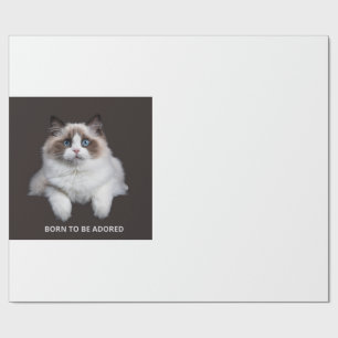 Kattmugg - Född att bli älskad Presentpapper