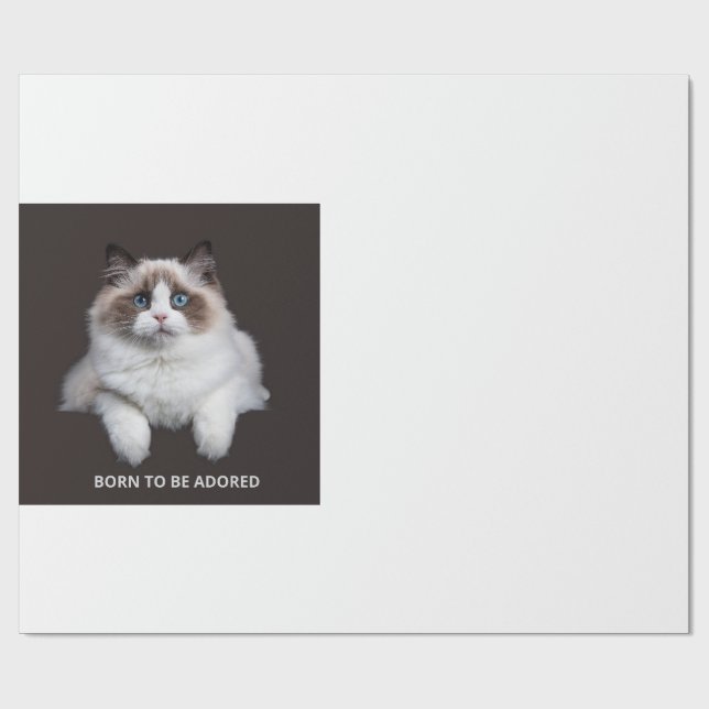 Kattmugg - Född att bli älskad Presentpapper (Platt)