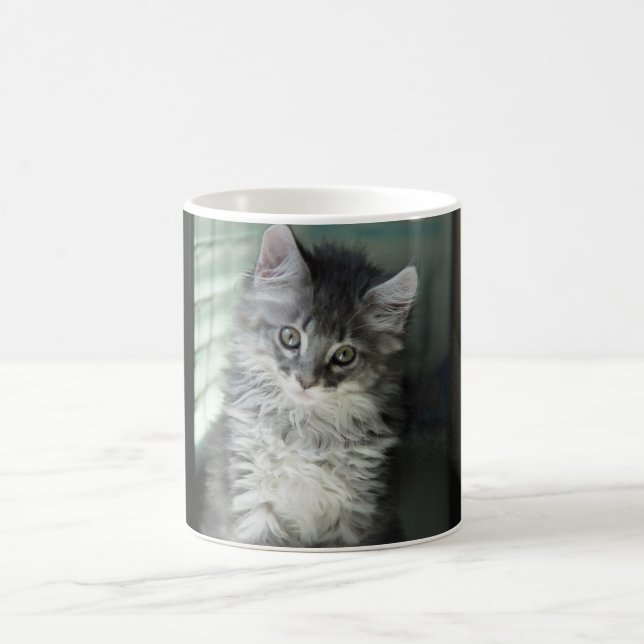 Kattmugg Kaffemugg (Center)