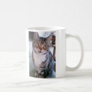Kattmugg Kaffemugg