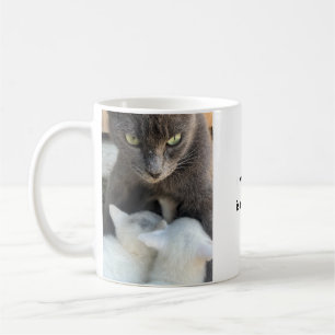 Kattmugg, mammaledighet kul, rolig mugg