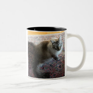 Kattmugg med verse… i en katt älska öga… Två-Tonad mugg