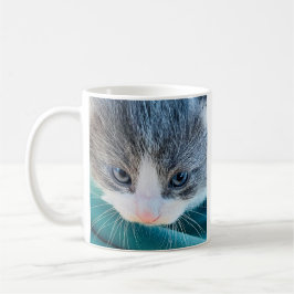 Kattmugg, morgonstämning, rolig mugg