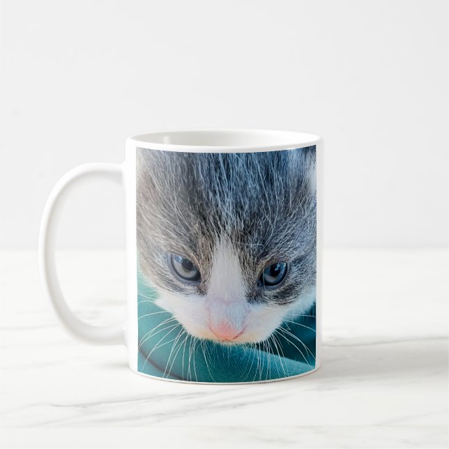 Kattmugg, morgonstämning, rolig mugg (Vänster)