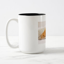 Kattmugg Två-Tonad Mugg