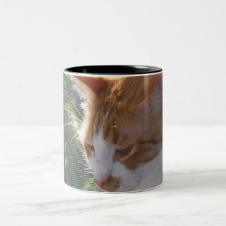 Kattmugg Två-Tonad Mugg