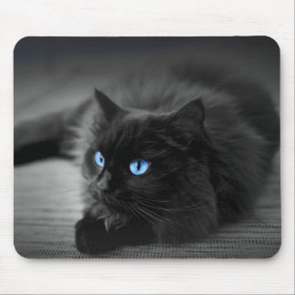 Kattmusmatta i Midnight Blue Eyes kattkonst Musmatta