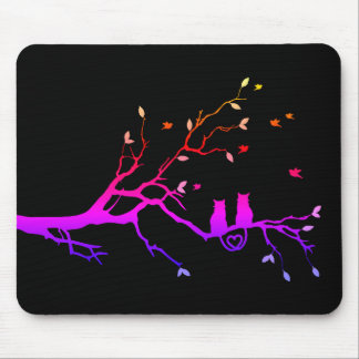 Kattmusmatta Musmatta