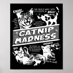 Kattmynta galenskap Söt kattunge Rolig katt Husdju Poster