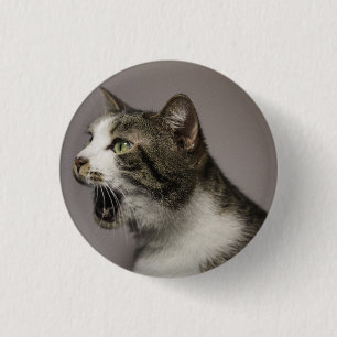 Kattnålstift Knapp