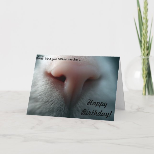 Kattnäsa för födelsedagskort kort (Framsida)