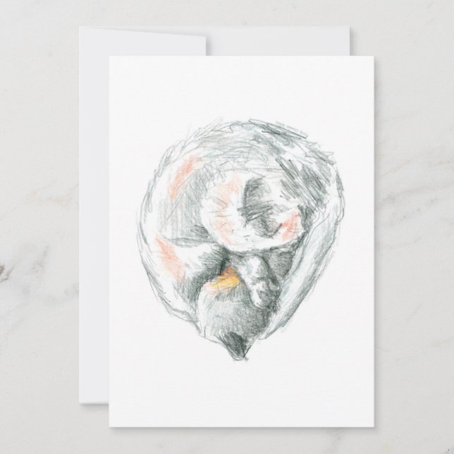 Kattnatt-inbjudningar & -annonser (Framsida)