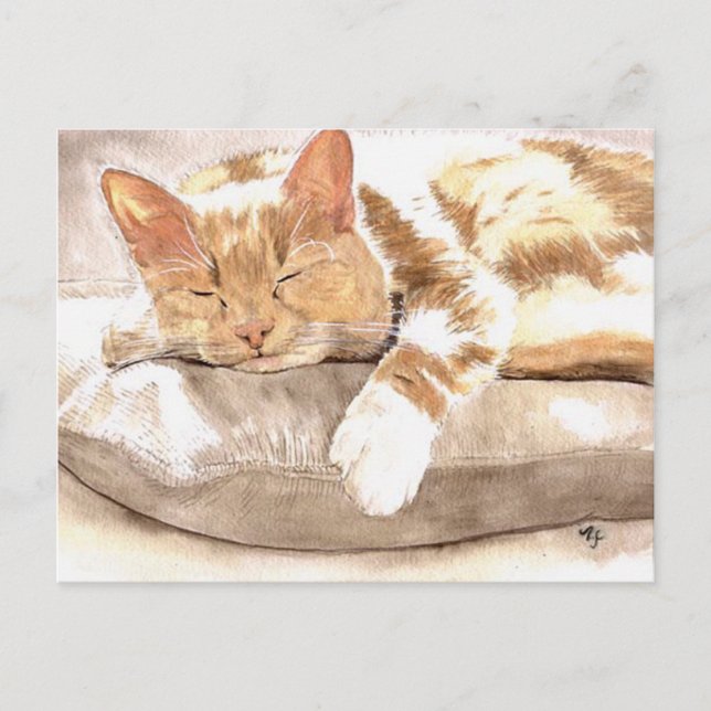 Kattnatt vykort (Framsida)