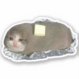Kattnota för Sticker Butta Klistermärken