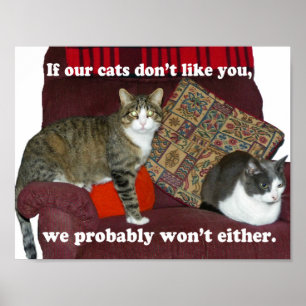 Kattnota Poster